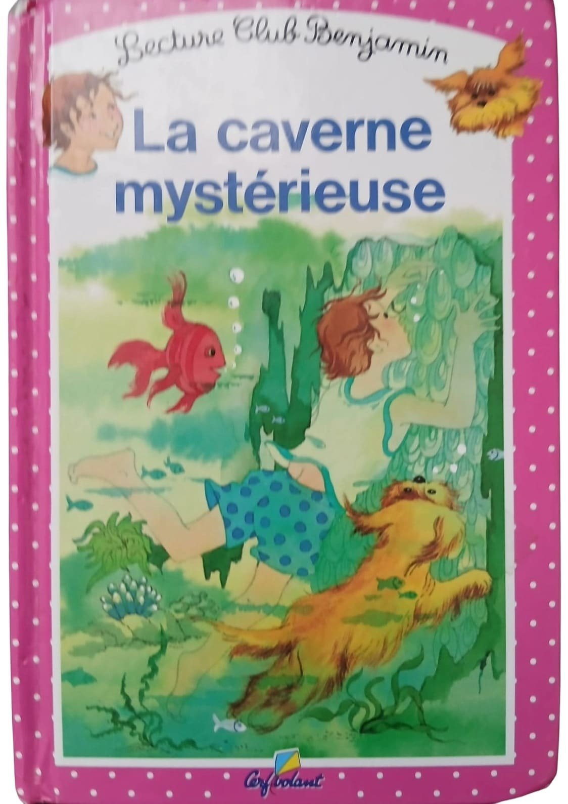 La caverne mystérieuse